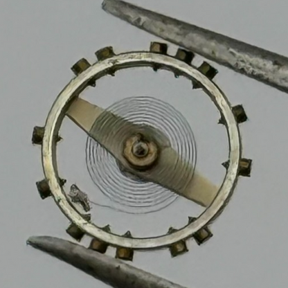 AS 976 1012 Balance Wheel Complete And Spring  29 M Watch Movement Parts NOS