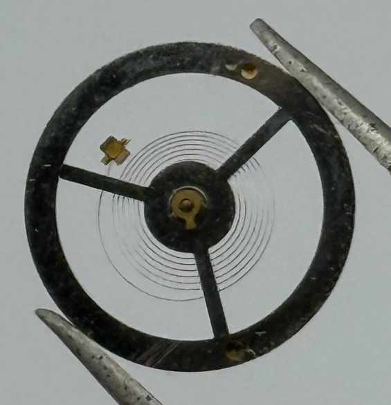 EB 8800 Balance Wheel Complete And Spring 12’’’ 1309 Watch Movement Parts NOS