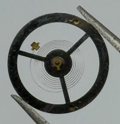 EB 8800 Balance Wheel Complete And Spring 12’’’ 1309 Watch Movement Parts NOS