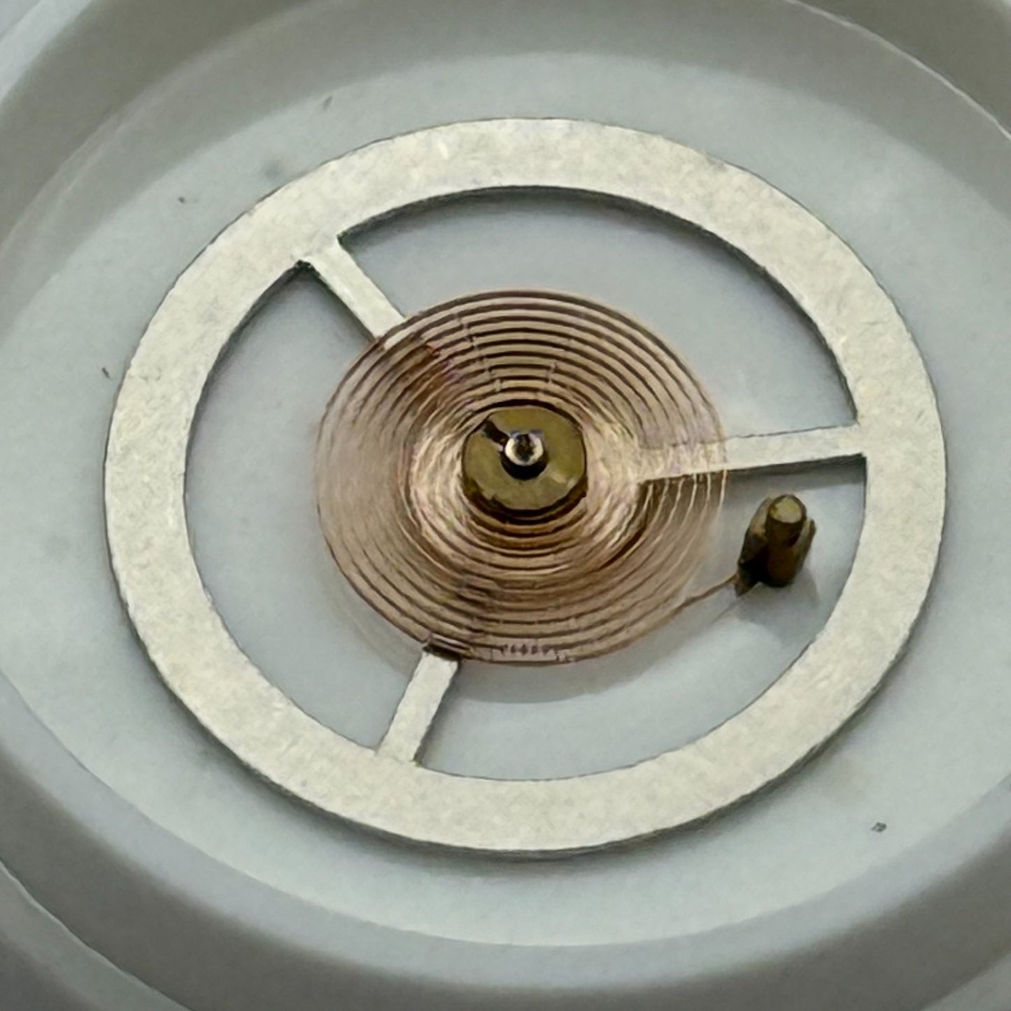 EB 8800 Balance Wheel Complete And Spring 12’’’ 1309 Watch Movement Parts NOS