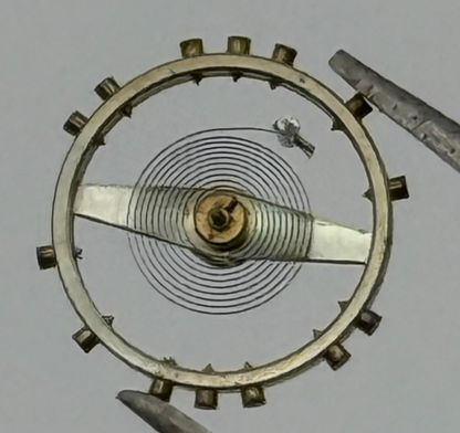 AV 41 Balance Wheel Complete And Spring 5 1/4''' 55 M Watch Movement Parts NOS