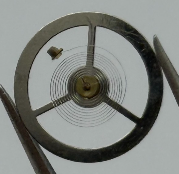 EB 8800 Balance Wheel Complete And Spring 12’’’ 1309 Watch Movement Parts NOS