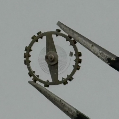 AS 976 1012 Balance Wheel Complete And Spring 29 M Watch Movement Parts NOS