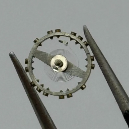 AS 976 1012 Balance Wheel Complete And Spring 29 M Watch Movement Parts NOS