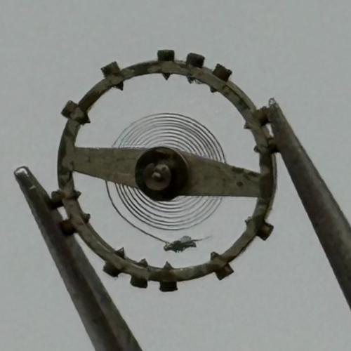 AS 1051 Balance Wheel Complete And Spring 5 1/4’’’ 34 M Watch Movement Parts NOS