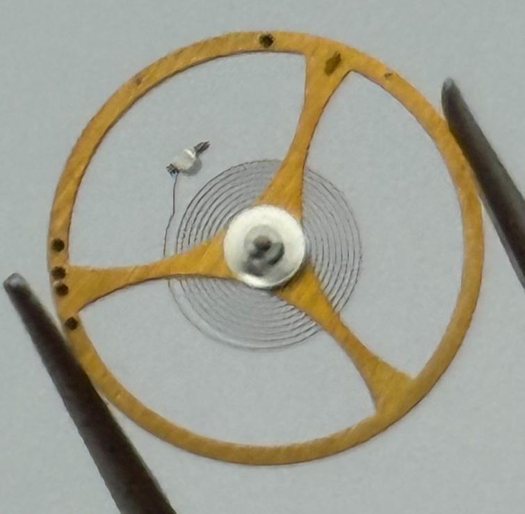 ETA 2390 Balance Wheel Complete And Spring  1599 M Watch Movement Parts NOS