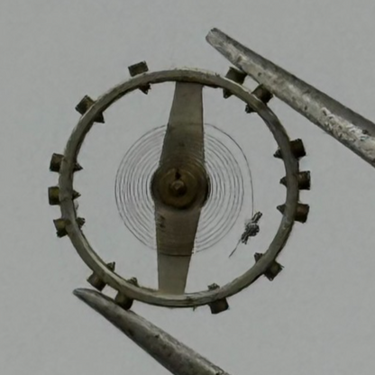 AS 1051 Balance Wheel Complete And Spring 5 1/4’’’ 34 M Watch Movement Parts NOS