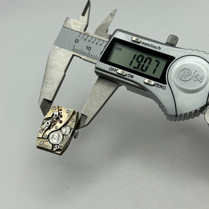19mm Gruen 117 GR Precision Temp Adjusted Manual Wind Swiss Watch Movement PARTS