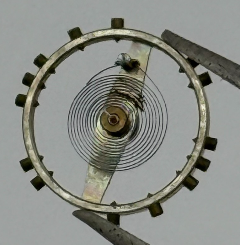 AS 984 Balance Wheel Complete And Spring 10½’’’ Renata 30 M Watch Movement Parts
