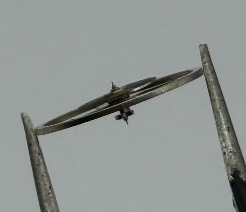 EB 8381 8391-66 Balance Wheel Complete And Spring 10½’’’ Watch Movement Parts