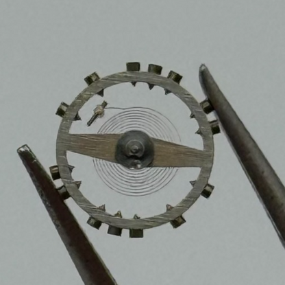 AS 976 1012 Balance Wheel Complete And Spring 29 M Watch Movement Parts NOS