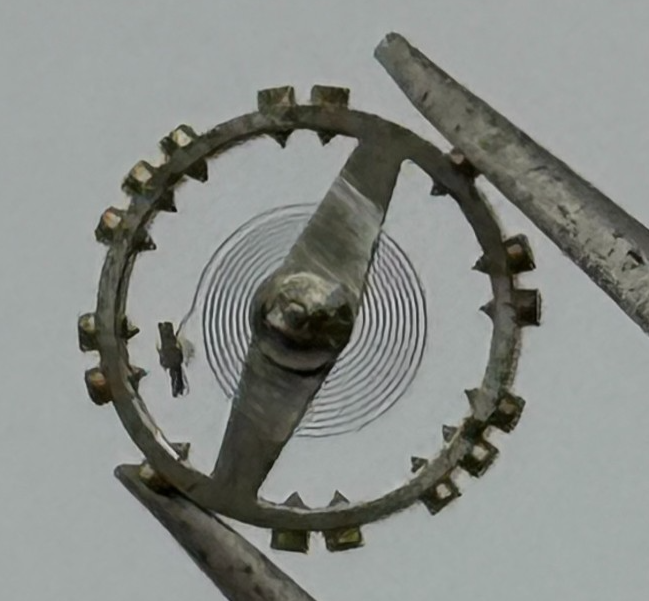 AS 976 1012 Balance Wheel Complete And Spring  29 M Watch Movement Parts NOS