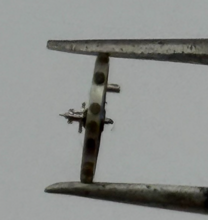 AS 976 1012 Balance Wheel Complete And Spring  29 M Watch Movement Parts NOS