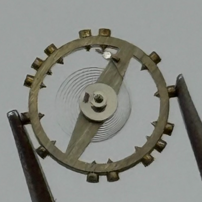 AS 976 1012 Balance Wheel Complete And Spring  29 M Watch Movement Parts NOS