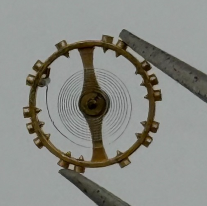 AS 976 1012 Balance Wheel Complete And Spring  29 M Watch Movement Parts NOS