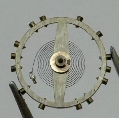 AV 41 Balance Wheel Complete And Spring 5 1/4''' 55 M Watch Movement Parts NOS