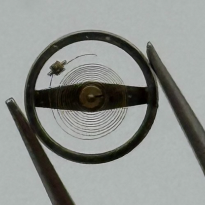 Brac 2051 Balance Wheel Complete And Spring 5 1/2’’’ 60 M Watch Movement Parts