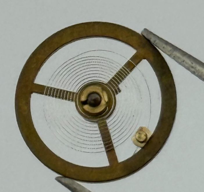 Lapanouse Rego 130 140 Balance Complete DGT Watch Movement Parts Vintage NOS