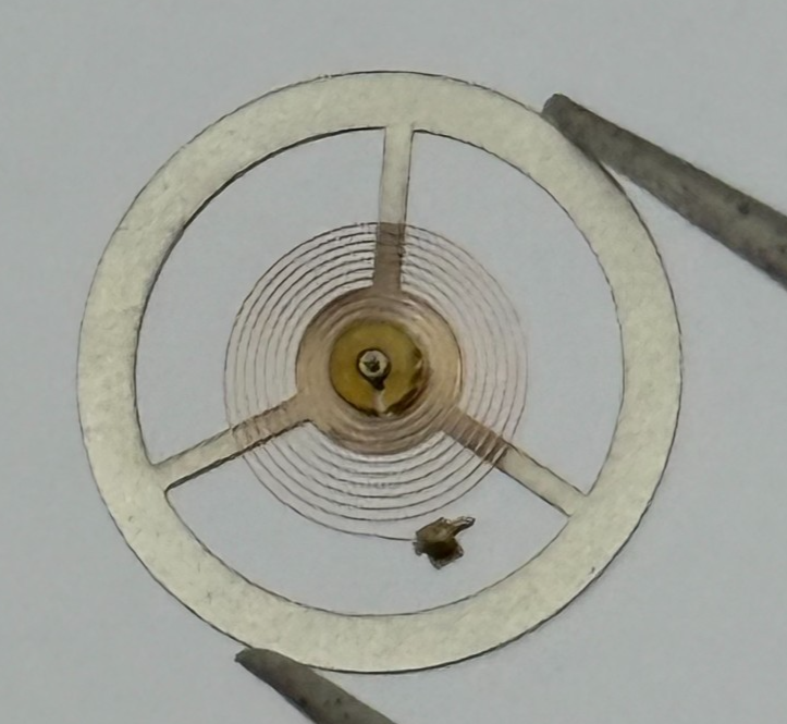 EB 8800 Balance Wheel Complete And Spring 12’’’ 1309 Watch Movement Parts NOS