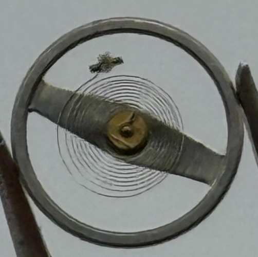 Brac 2021 Balance Wheel Complete And Spring 5 1/4''' 69 M Watch Movement Parts