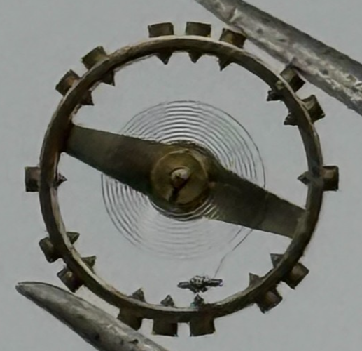 AS 976 1012 Balance Wheel Complete And Spring  29 M Watch Movement Parts NOS