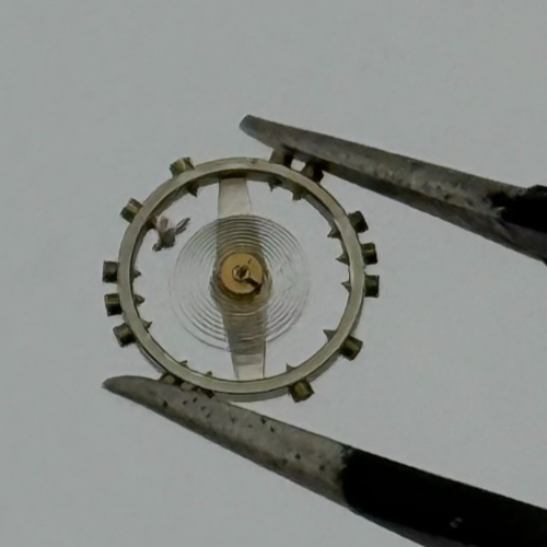 AS 976 1012 Balance Wheel Complete And Spring 29 M Watch Movement Parts NOS