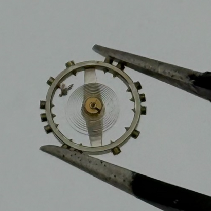 AS 976 1012 Balance Wheel Complete And Spring 29 M Watch Movement Parts NOS