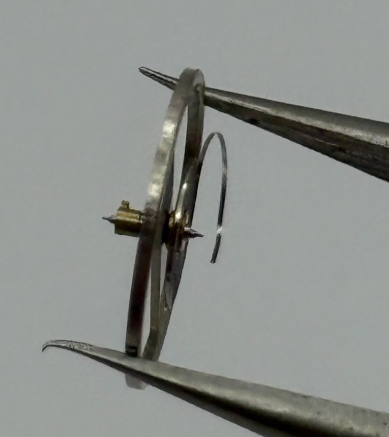 EB 8800 Balance Wheel Complete And Spring 12’’’ 1309 Watch Movement Parts NOS