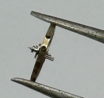 AS 976 1012 Balance Wheel Complete And Spring  29 M Watch Movement Parts NOS