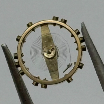 FEF 430 6600 Balance Wheel Complete And Spring 943 M Watch Movement Parts NOS