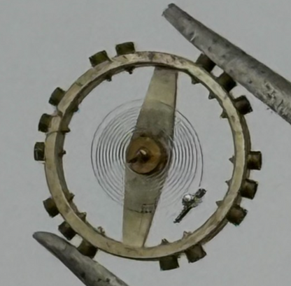 AS 976 1012 Balance Wheel Complete And Spring  29 M Watch Movement Parts NOS