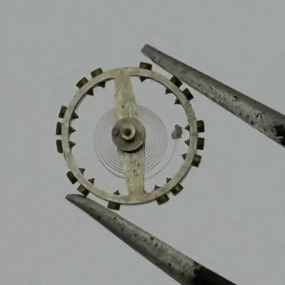 AS 976 1012 Balance Wheel Complete And Spring 29 M Watch Movement Parts NOS