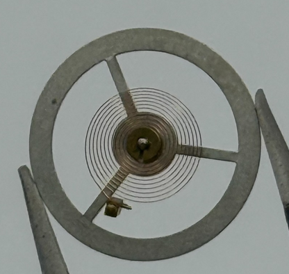 EB 8800 Balance Wheel Complete And Spring 12’’’ 1309 Watch Movement Parts NOS