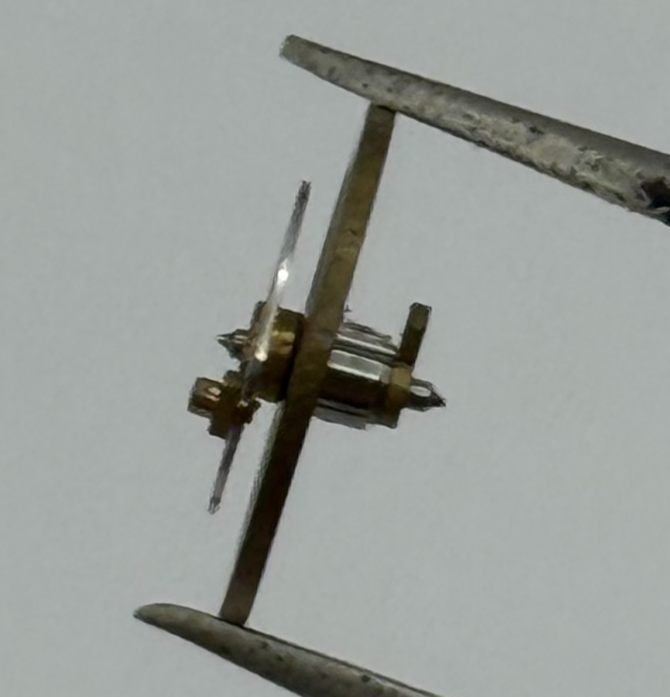 Lapanouse Rego 130 140 Balance Complete DGT Watch Movement Parts Vintage NOS