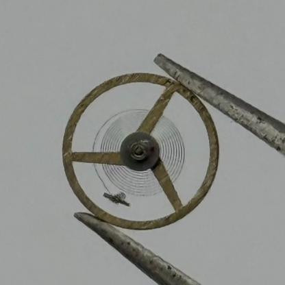 AS 1977-2 Balance Wheel Complete And Spring  1831 M Watch Movement Parts NOS