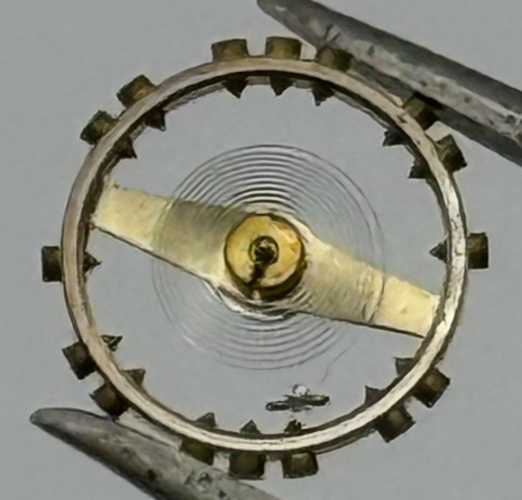 AS 976 1012 Balance Wheel Complete And Spring  29 M Watch Movement Parts NOS