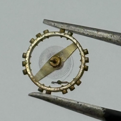 AS 976 1012 Balance Wheel Complete And Spring 29 M Watch Movement Parts NOS