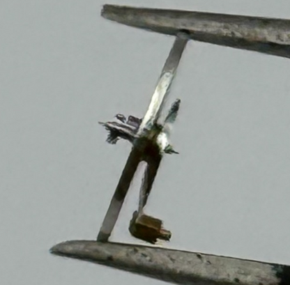 EB 8320 8321 8330 Balance Wheel Complete And Spring Watch Movement Parts