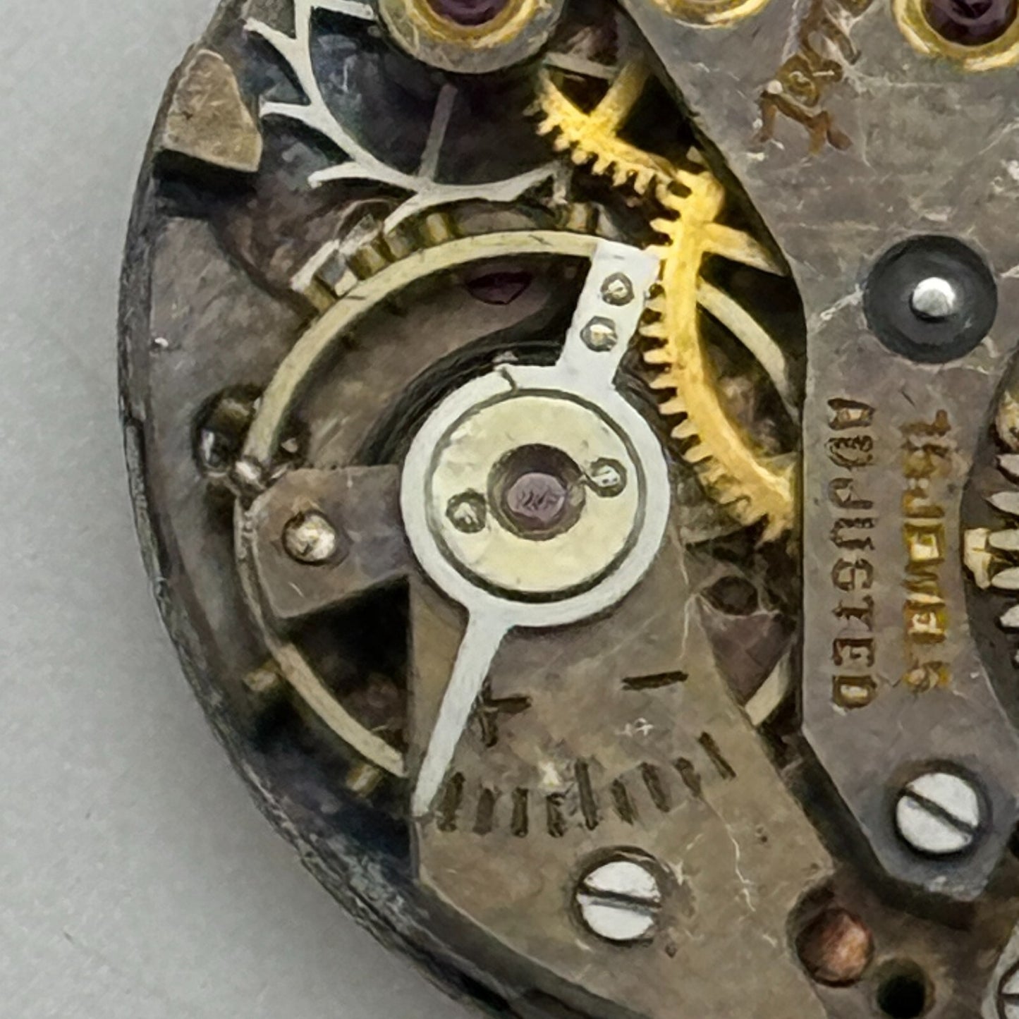 19.7mm Ladies Accurist AS 970 A Schild Manual Wind Swiss Watch Movement PARTS
