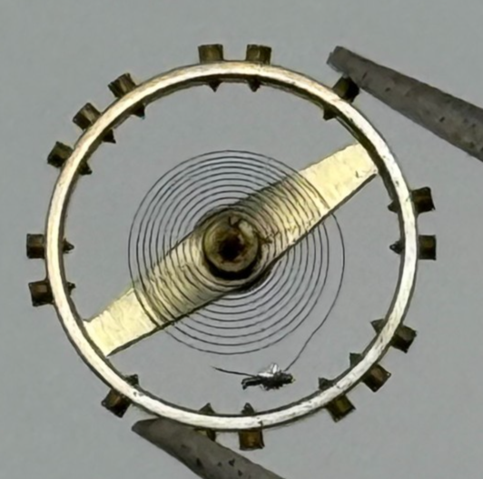 ETA 1301 Balance Wheel Complete And Spring  Watch Movement Parts NOS