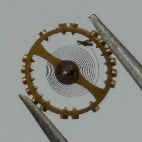 AS 976 1012 Balance Wheel Complete And Spring 29 M Watch Movement Parts NOS