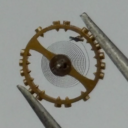 AS 976 1012 Balance Wheel Complete And Spring 29 M Watch Movement Parts NOS