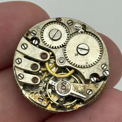 23.7mm Unidentified Porcelain Bullseye Dial Trench Watch Movement Manual Wind