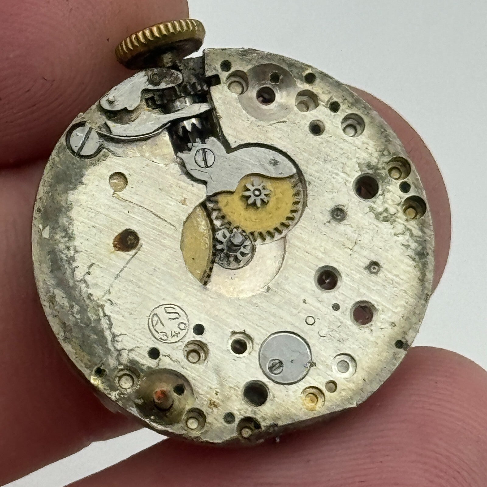 23.7mm Dwelsa Watch Co AS 340 A Schild Manual Wind Swiss Watch Movement PARTS