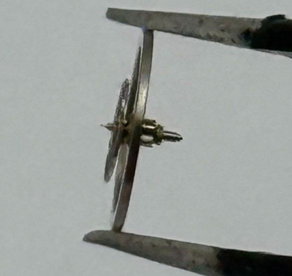 BFG 910 Balance Wheel Complete And Spring 827 Watch Movement Parts NOS