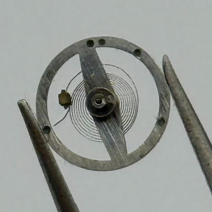 Brac 2021 Balance Wheel Complete And Spring 5¼’’’ 69 M Watch Movement Parts NOS