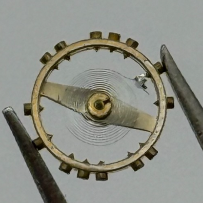 AS 976 1012 Balance Wheel Complete And Spring  29 M Watch Movement Parts NOS