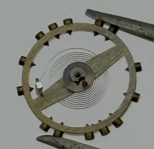 FHF 60 Balance Wheel Complete And Spring  6 3/4-8'''  200 M Watch Movement Parts