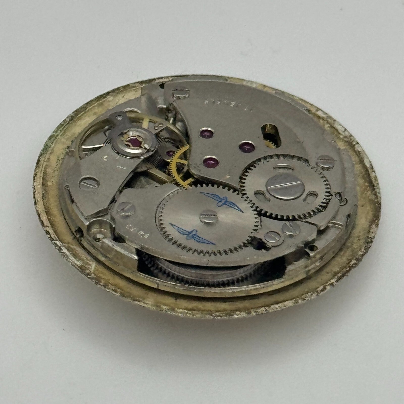 25.9mm Rotary AS 1900 / 01 Manual Wind Watch Movement Vintage Swiss PARTS SPARES