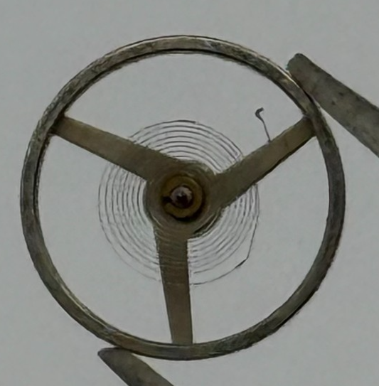 Felsa 4120 4125 Balance Complete Inca Renata 1437 M Watch Movement Parts Vintage